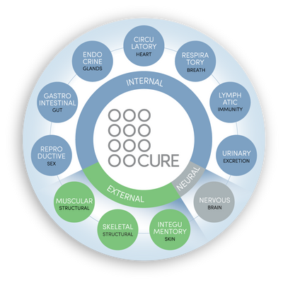 Cure Wellness Center